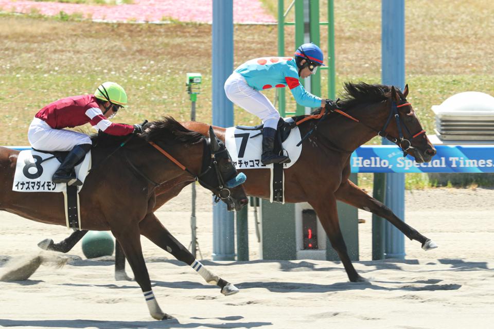 チャチャコマニ 新馬戦