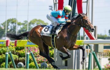 カヴァレリッツォ 新馬戦