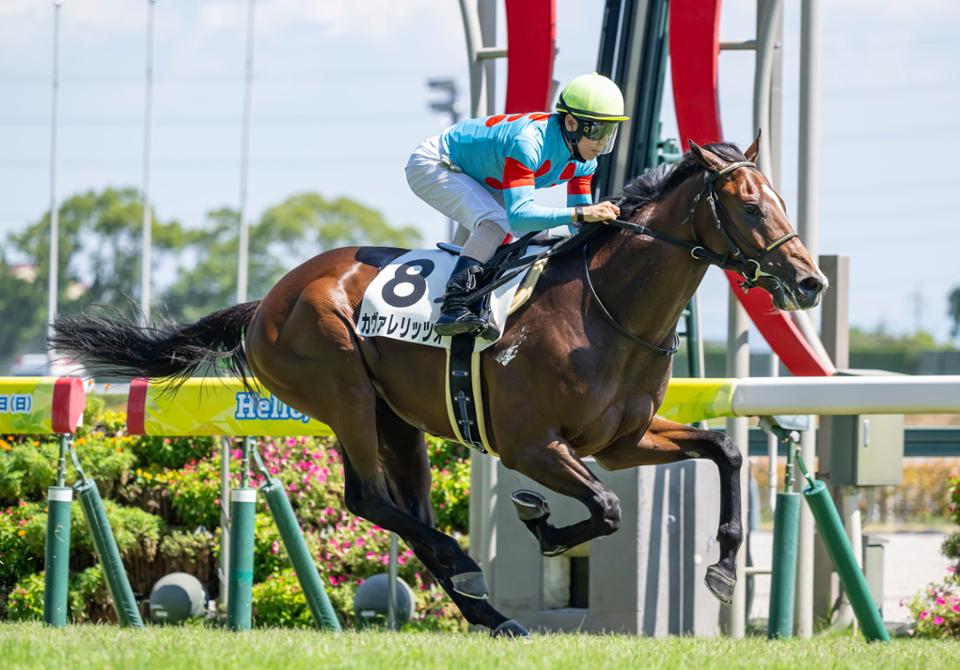 カヴァレリッツォ 新馬戦