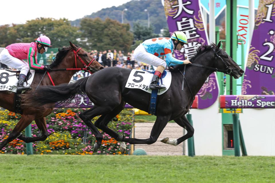 新馬戦　アローメタル