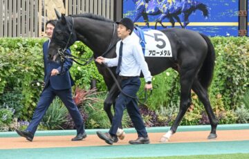 新馬戦　アローメタル