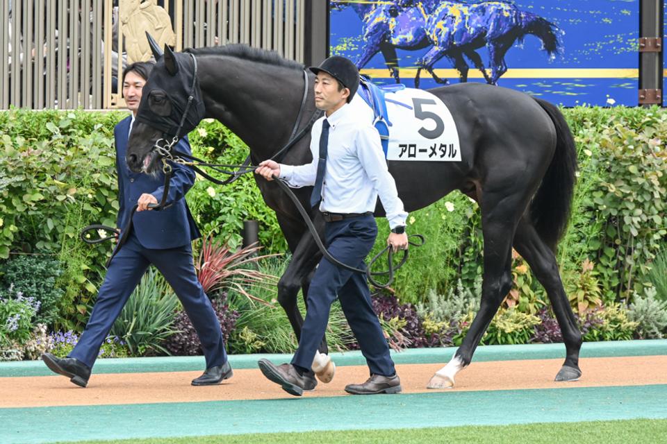 新馬戦　アローメタル
