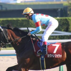 デイリー杯2歳S カヴァレリッツォ
