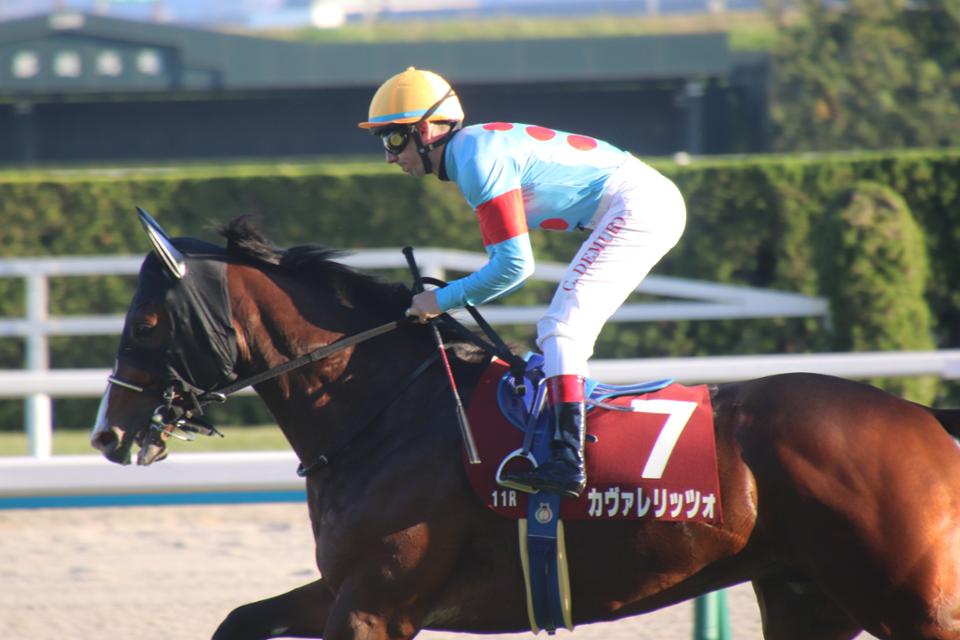 デイリー杯2歳S カヴァレリッツォ