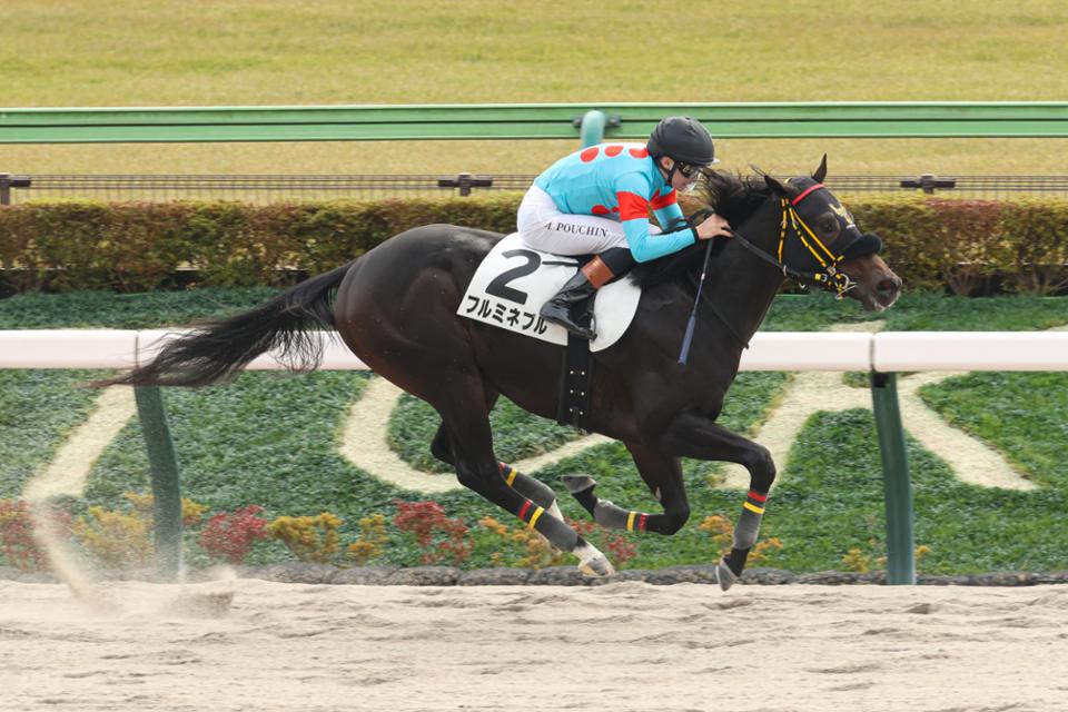 フルミネブル