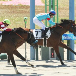 チャチャコマニ 新馬戦