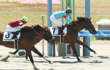チャチャコマニ 新馬戦