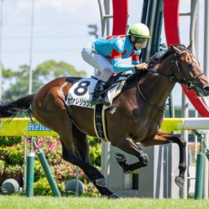 カヴァレリッツォ 新馬戦