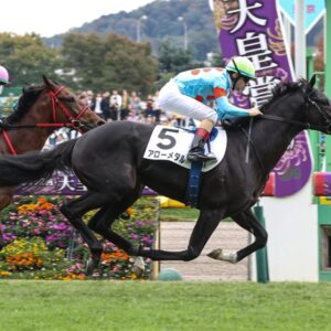 新馬戦　アローメタル