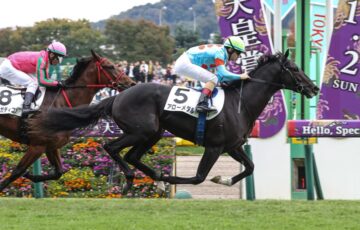 新馬戦　アローメタル