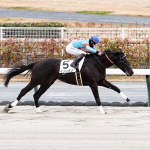 インシオン　未勝利戦
