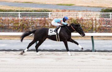 インシオン　未勝利戦