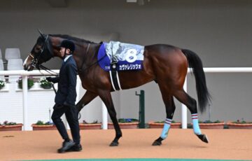 カヴァレリッツォ　朝日杯FS