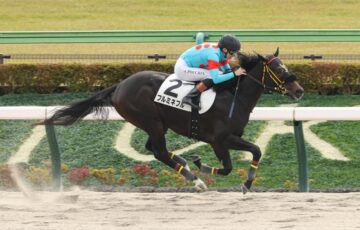 フルミネブル